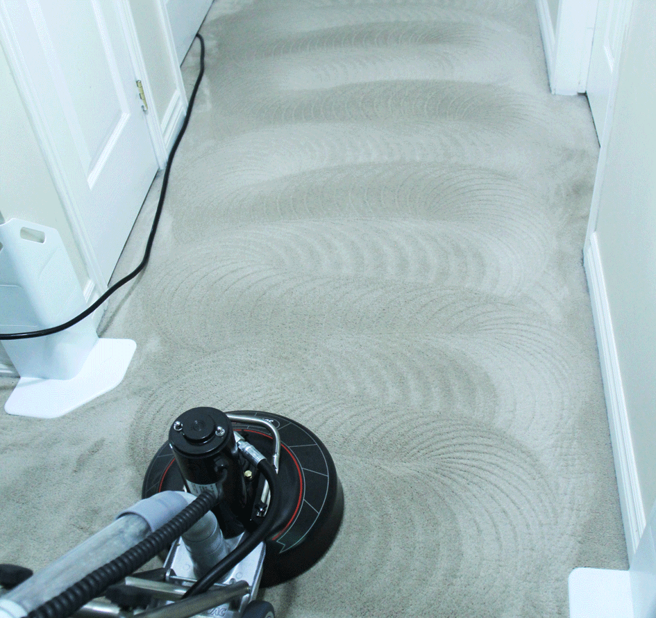Professional Carpet Cleaning